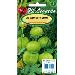 Kardiospermum - zielone owoce