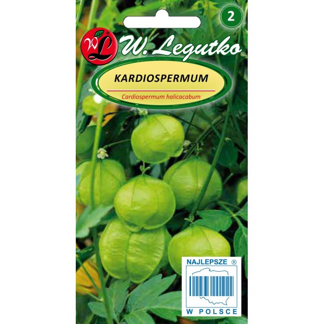 Kardiospermum - zielone owoce - Nasiona - W. Legutko