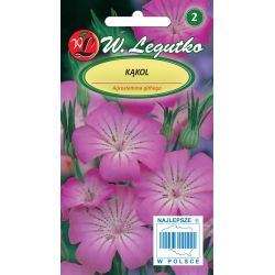 Kąkol różowy 0.50g - Nasiona - W. Legutko Kąkol różowy 0.50g - Nasiona - W. Legutko
