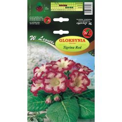 Gloksynia Tigrina Red biało-czerwona, nakrapiana 1szt. - Cebule i Kłącza - W. Legutko