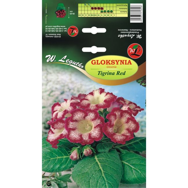 Gloksynia - Tigrina Red - biało-czerwona - 1szt. - Cebule i Kłącza - W. Legutko