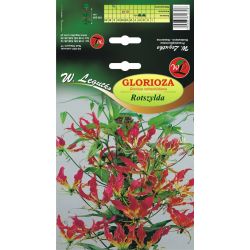 Glorioza Rotszylda żółto-czerwona 1szt. - Cebule i Kłącza - W. Legutko Glorioza Rotszylda żółto-czerwona 1szt. - Cebule i Kłącza - W. Legutko