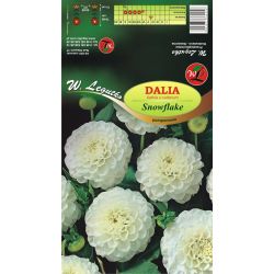 Dalia Snowflake biała 1szt. - Cebule i Kłącza - W. Legutko