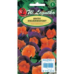 Bratek Orange Violet pomarańczowo-fioletowy 0.30g - Nasiona - W. Legutko Bratek Orange Violet pomarańczowo-fioletowy 0.30g - Nasiona - W. Legutko