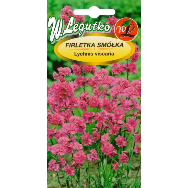 Firletka, Smółka - mieszanka - Nasiona - W. Legutko Firletka, Smółka - mieszanka - Nasiona - W. Legutko
