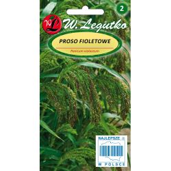 Proso fioletowe zielono-fioletowe 3g - Nasiona - W. Legutko