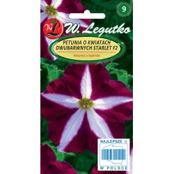 Petunia ogrodowa Starlet F2 purpurowa 0.01g - Nasiona - W. Legutko Petunia ogrodowa Starlet F2 purpurowa 0.01g - Nasiona - W. Legutko