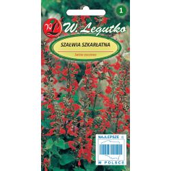 Szałwia szkarłatna czerwona 0.20g - Nasiona - W. Legutko