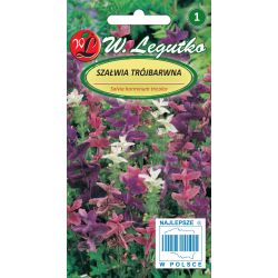 Szałwia trójbarwna mieszanka 0.50g - Nasiona - W. Legutko