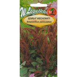 Szarłat wiechowaty czerwono-szkarłatny 1g - Nasiona - W. Legutko