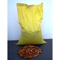 Bób White Windsor 5kg - Nasiona - W. Legutko