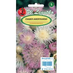 Chaber amerykański lilioworóżowy 1g - Nasiona - W. Legutko Chaber amerykański lilioworóżowy 1g - Nasiona - W. Legutko