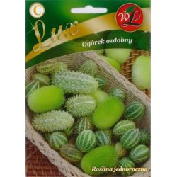 Ogórek ozdobny - mieszanka gatunków mieszanka 0.30g - Nasiona - W. Legutko