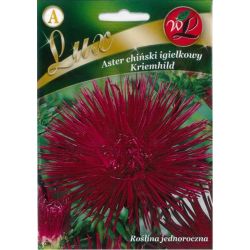 Aster chiński Kriemhild igiełkowy rubinowy 0.50g - Nasiona - W. Legutko Aster chiński Kriemhild igiełkowy rubinowy 0.50g - Nasiona - W. Legutko