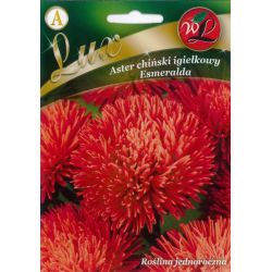 Aster chiński Esmeralda igiełkowy czerwony 0.50g - Nasiona - W. Legutko Aster chiński Esmeralda igiełkowy czerwony 0.50g - Nasiona - W. Legutko