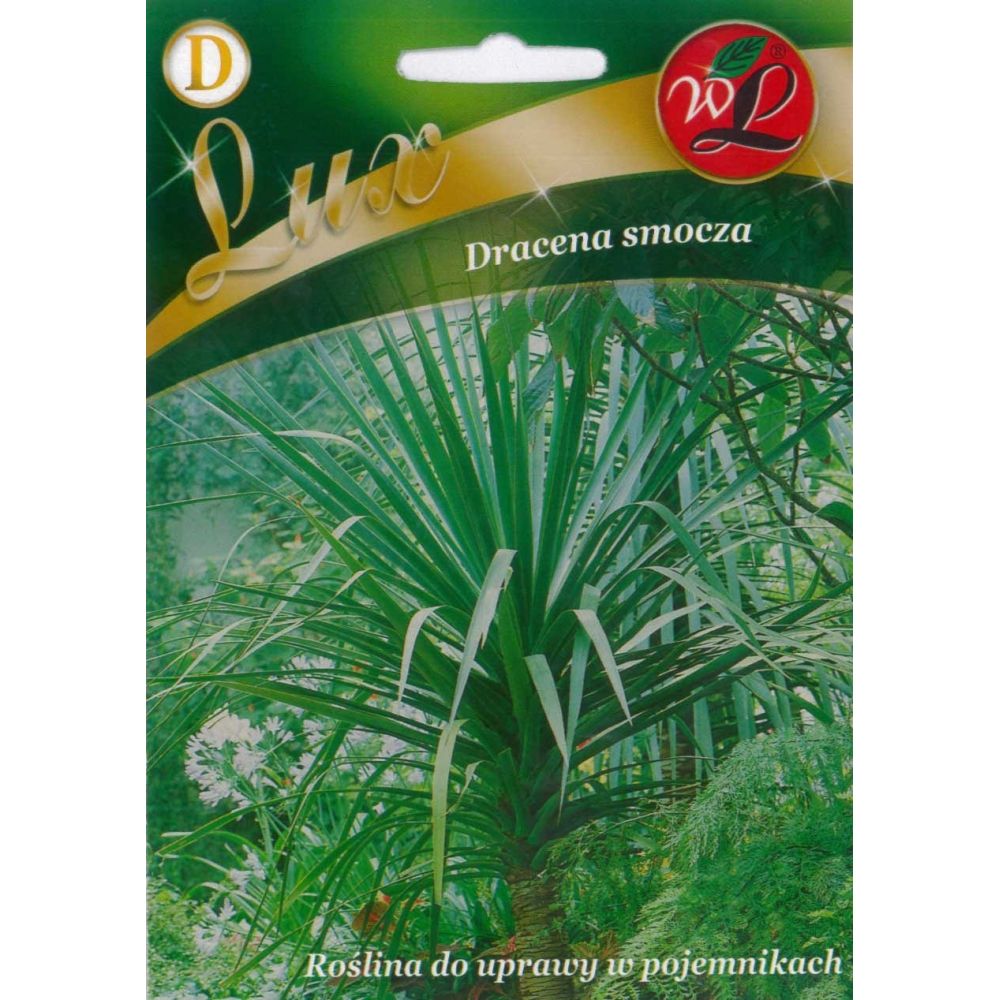 Dracena smocza Nasiona Sklep W. Legutko