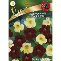 Nasturcja niska Night & Day mieszanka 5g - Nasiona - W. Legutko