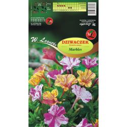 Dziwaczek Jalapa Marbles mieszanka pstra 1szt. - Cebule i Kłącza - W. Legutko