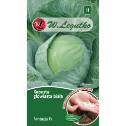 Kapusta głowiasta biała Fantazja F1 100szt. - Nasiona - W. Legutko
