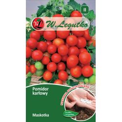 Pomidor Maskotka 100szt. - Nasiona - W. Legutko
