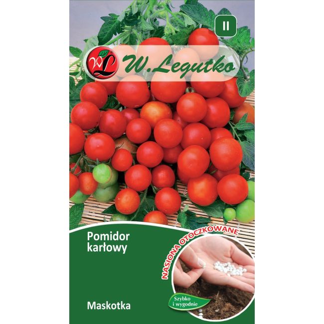 Pomidor karłowy - Maskotka - 100 szt. nasion - Nasiona - W. Legutko
