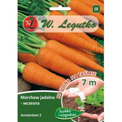 Marchew Amsterdam 2 7m taśma - Nasiona - W. Legutko Marchew Amsterdam 2 7m taśma - Nasiona - W. Legutko