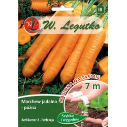 Marchew Berlikumer 2 Perfekcja 7m taśma - Nasiona - W. Legutko