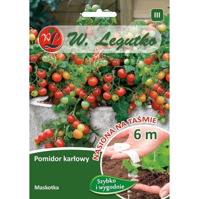 Pomidor - wiotkołodygowy - Maskotka - taśma 6m - Nasiona - W. Legutko