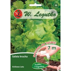 Sałata Królowa Lata 7m taśma - Nasiona - W. Legutko
