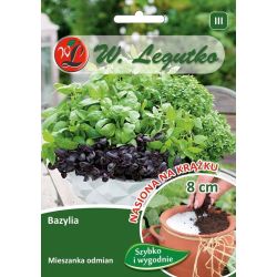 Bazylia właściwa mieszanka odmian 3krążki - Nasiona - W. Legutko Bazylia właściwa mieszanka odmian 3krążki - Nasiona - W. Legutko