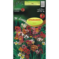 Sparaksis mieszanka 10szt. - Cebule i Kłącza - W. Legutko