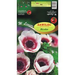 Zawilec Bicolor czerwono-biały 8szt. - Cebule i Kłącza - W. Legutko