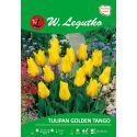 Tulipan - Golden Tango - Greiga - żółty - Cebule i Kłącza - W. Legutko