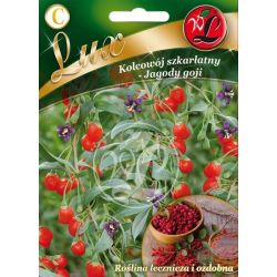 Kolcowój pospolity 0.10g - Nasiona - W. Legutko Kolcowój pospolity 0.10g - Nasiona - W. Legutko