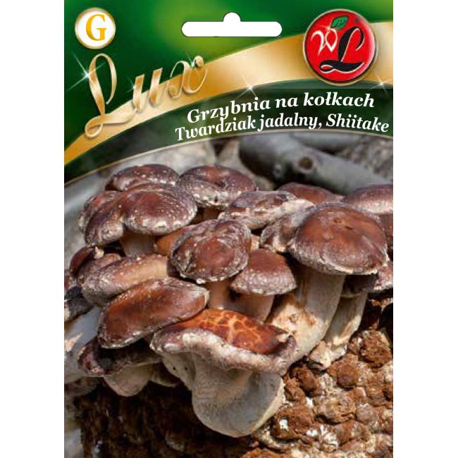 Grzybnia na kołkach - Twardziak jadalny - Shiitake - Nasiona - W. Legutko