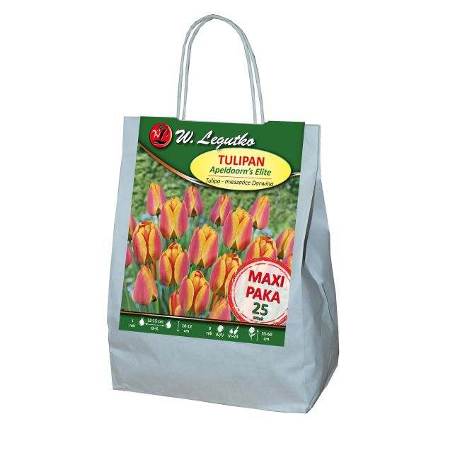 Tulipan - Apeldoorn's Elite - mieszańce Darwina - czerwony - 25szt. - Cebule i Kłącza - W. Legutko Tulipan - Apeldoorn's Elite - mieszańce Darwina - czerwony - 25szt. - Cebule i Kłącza - W. Legutko