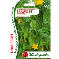 Ogórek Brawo F1 20nas. - Nasiona - W. Legutko Ogórek Brawo F1 20nas. - Nasiona - W. Legutko
