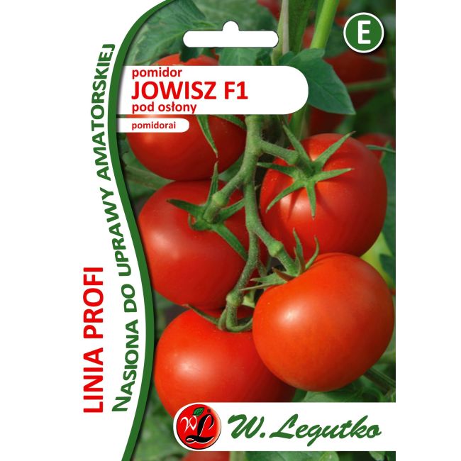 Pomidor - pod osłony - Jowisz F1 - Nasiona - W. Legutko