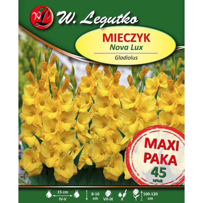 Mieczyk - wielokwiatowy - Nova Lux - żółty - 45szt. - Cebule i Kłącza - W. Legutko