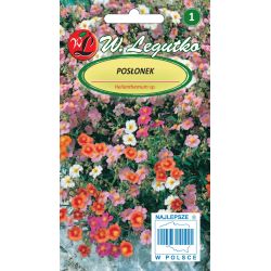 Posłonek rozesłany mieszanka 0.50g - Nasiona - W. Legutko Posłonek rozesłany mieszanka 0.50g - Nasiona - W. Legutko