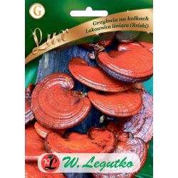 Grzybnia na kołkach - Lakownica lśniąca (Reishi) 20szt. - Nasiona - W. Legutko