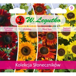 Kolekcja Słoneczników - Nasiona - W. Legutko Kolekcja Słoneczników - Nasiona - W. Legutko