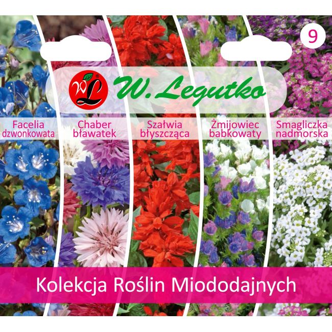 Kolekcja Roślin Miododajnych - 5 gatunków - Nasiona - W. Legutko