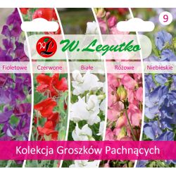 Kolekcja Groszków Pachnących - Nasiona - W. Legutko