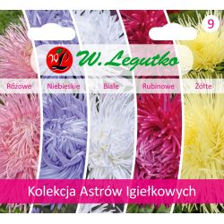 Kolekcja Astrów Igiełkowych - Nasiona - W. Legutko