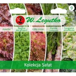 Kolekcja Sałat - Nasiona - W. Legutko