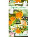 Kwiaty jadalne - Nagietek lekarski - Nasiona - W. Legutko