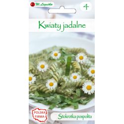 Kwiaty jadalne - Stokrotka pospolita biała 0.20g - Nasiona - W. Legutko Kwiaty jadalne - Stokrotka pospolita biała 0.20g - Nasiona - W. Legutko