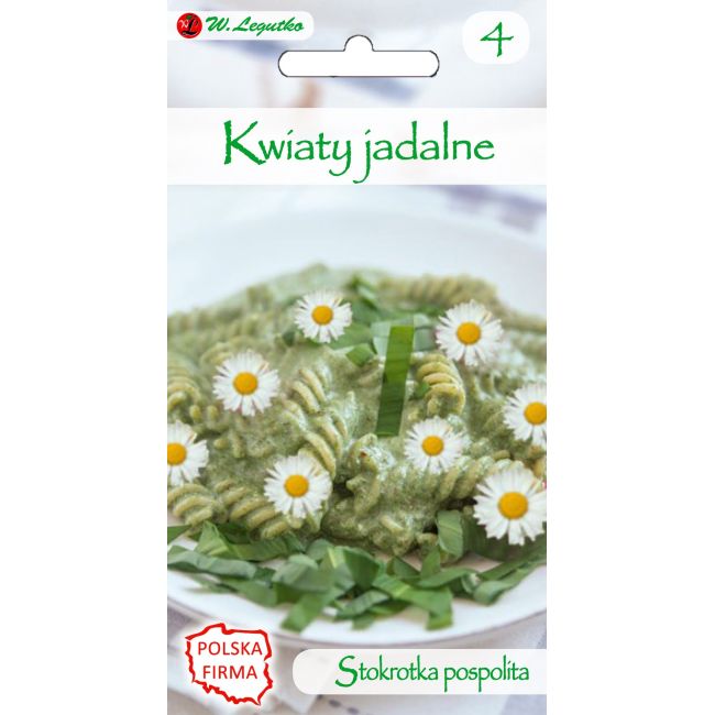 Kwiaty jadalne - Stokrotka pospolita - Nasiona - W. Legutko