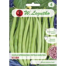 Fasola zwykła Scuba 30g nasiona zaprawiane - Nasiona - W. Legutko